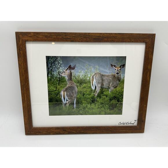 Caleb Koland Deer Wildlife Landscape Photo Print Framed Vintage Signed Wall Art - Picture 1 of 6